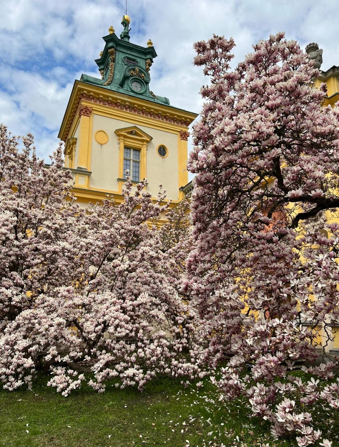 Centrum Konferencyjno-Apartamentowe Mrowka Warschau Buitenkant foto